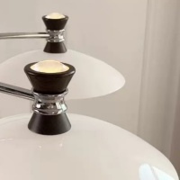 O1CN01oE8f1f1BxXrhndNK5_!!2213974360012-0-cib