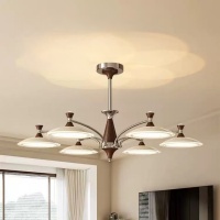 O1CN01Y4Hhw91BxXriT4EmS_!!2213974360012-0-cib