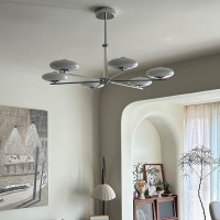 O1CN01xwzvY8266Lygwo5MI_!!2215629207612-0-cib