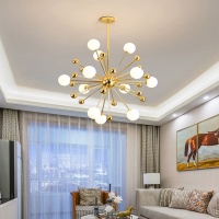 O1CN019HCD0N1ieC0HviSYt_!!3888664437-0-cib