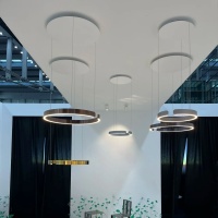 O1CN01IP5K4B1PSJRWCGifF_!!3401981839-0-cib