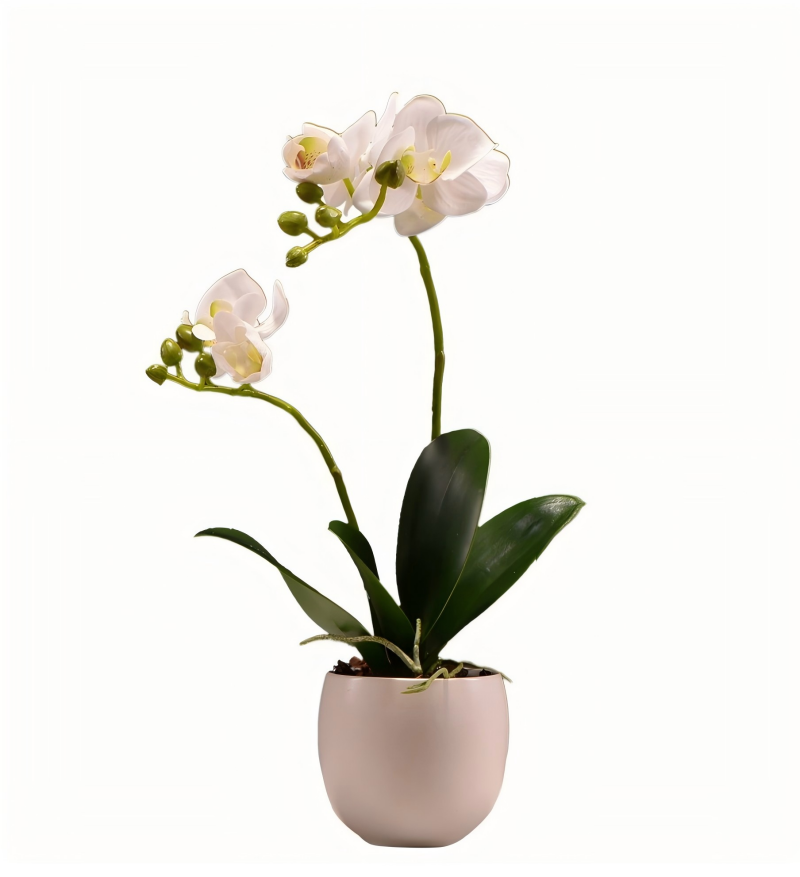 ArtificialPhalaenopsisOrchidPottedPlant-1