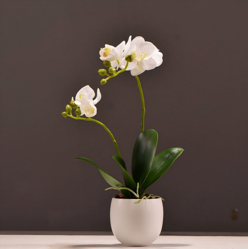 ArtificialPhalaenopsisOrchidPottedPlant-2