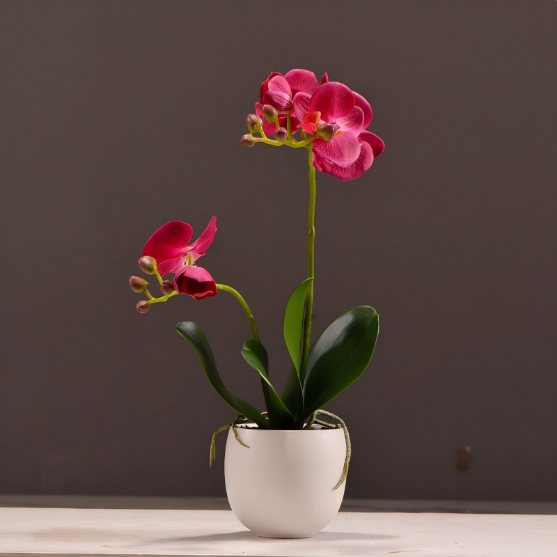ArtificialPhalaenopsisOrchidPottedPlant-3