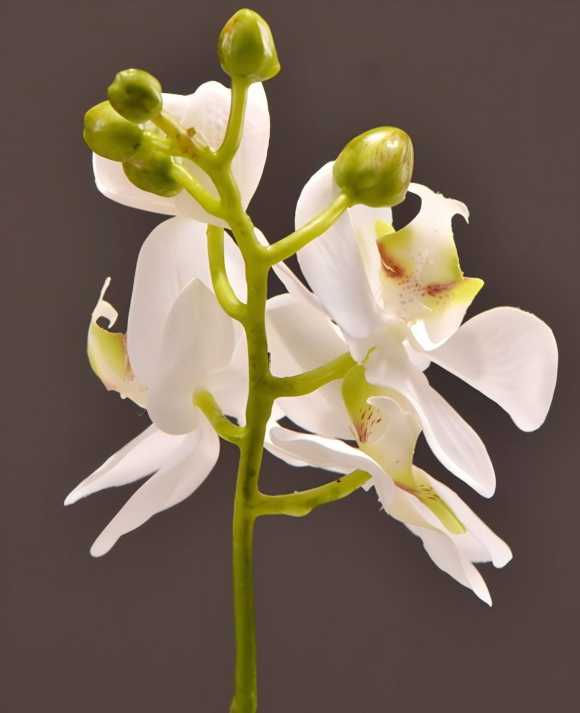 ArtificialPhalaenopsisOrchidPottedPlant-5