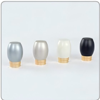 LightLuxuryMinimalistSlideRomanRod-339-14-15-3-1