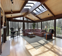 skylights-1-1