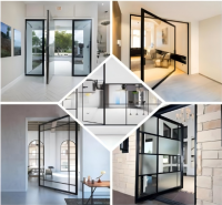 AluminumPivotDoor-2-1
