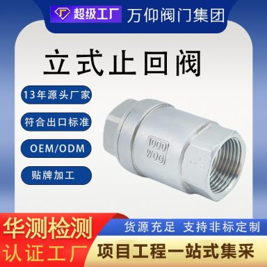 VL-006 304 or 316 Stainless Steel Spring Check Valve for Threaded Pipe