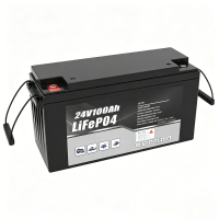24V100AH