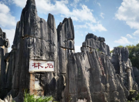 新建项目
