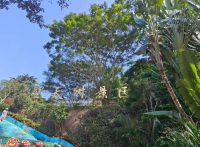 新建项目-4