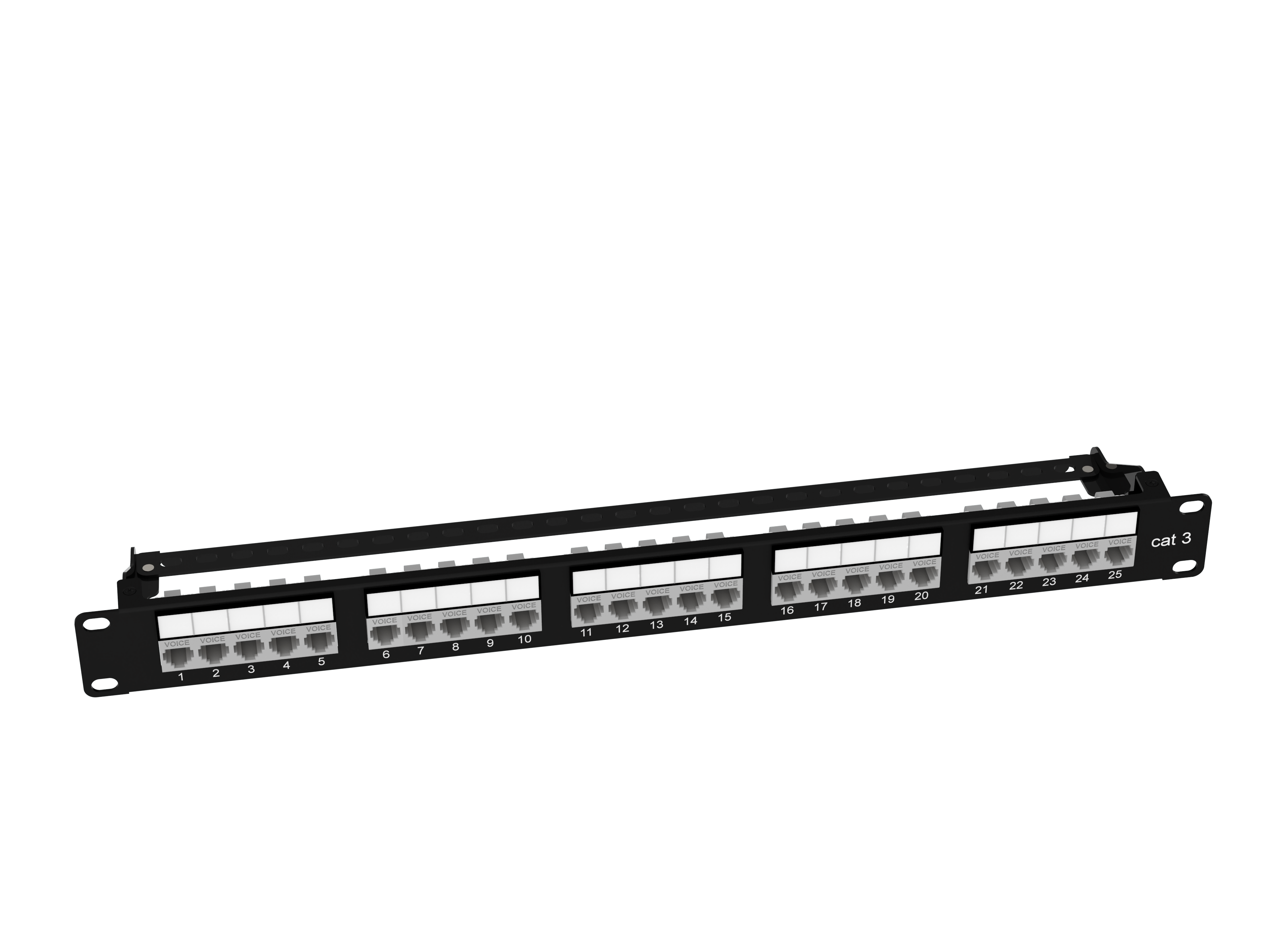 3012IP-VOICE-25-BK