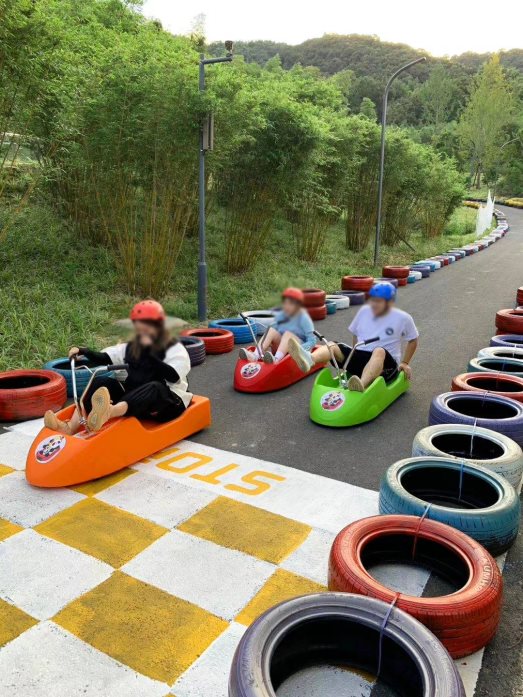 Luge 滑板车 (33)