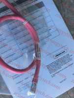 watermarked-image-4