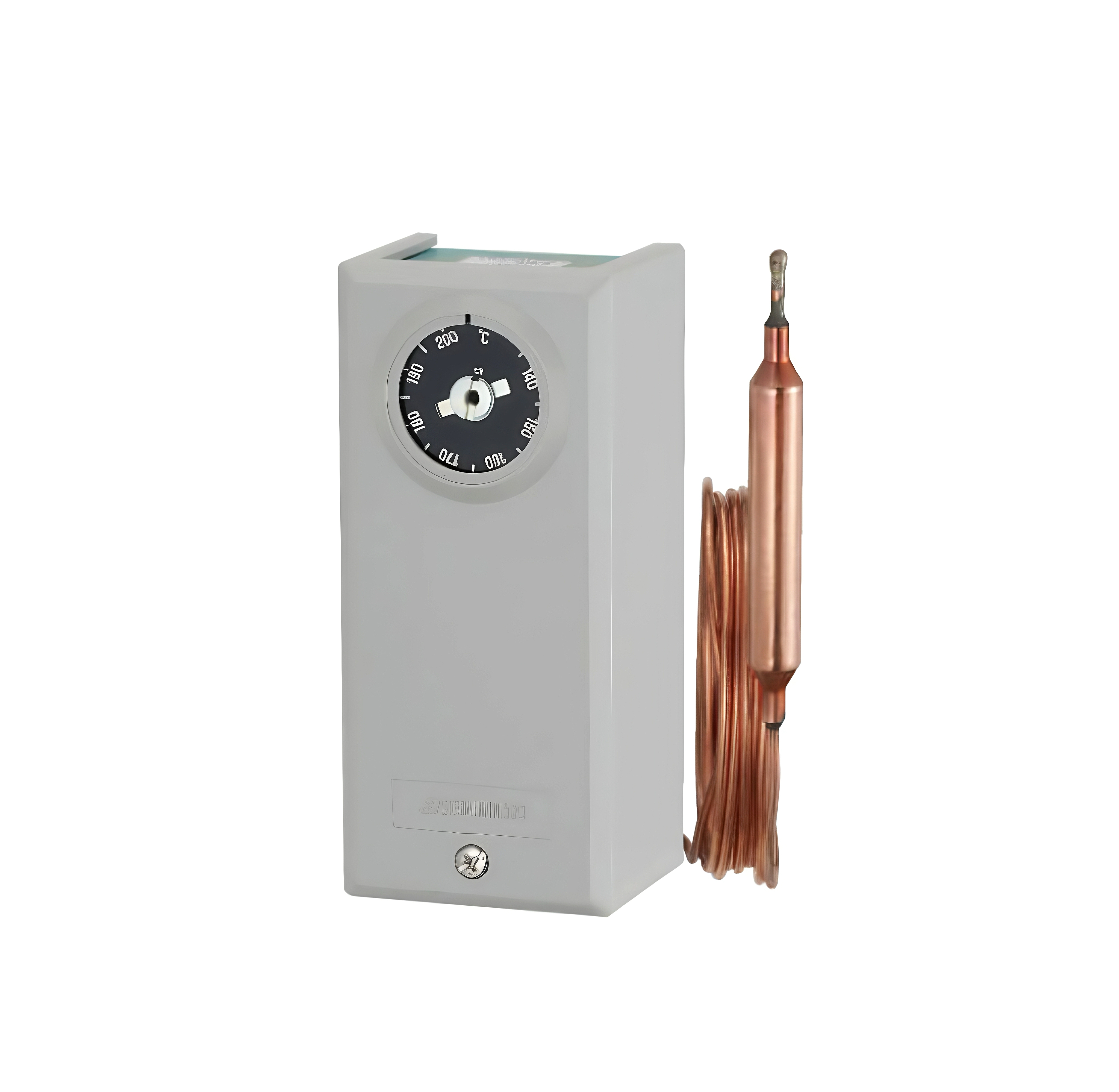 EWSFWSLWSRWS型泛用型温度控制器1