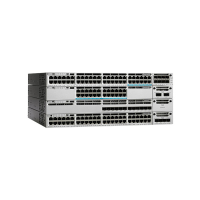 WS-C3850-24S-S