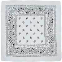 customized22x22fullcolorBandana