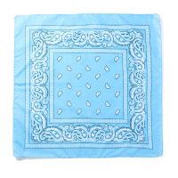 custom22x22fullcolorBandana