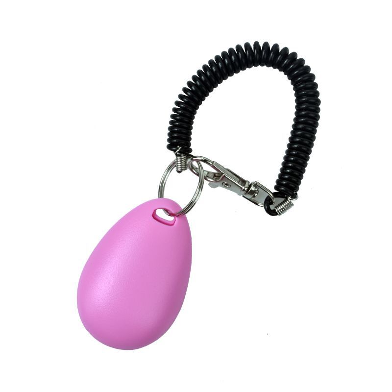 PetDogTrainingClickerwithWristBandsStrap