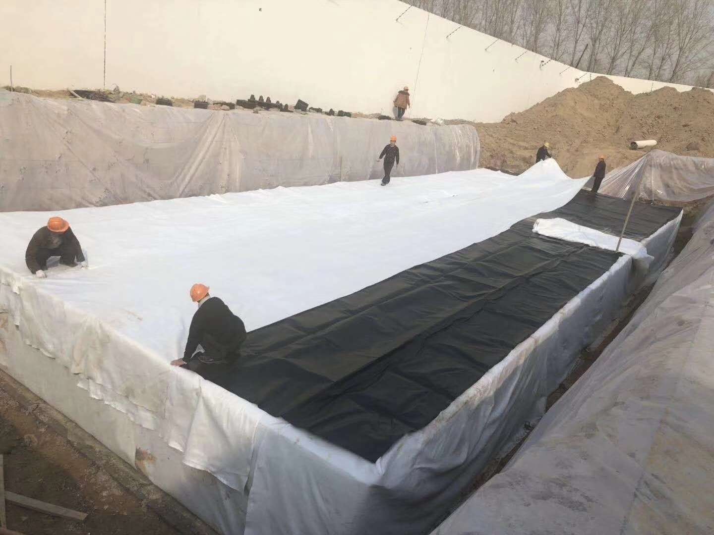 2-1Z104153956