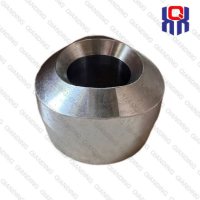 StainlesssteelWeldoletA182F304304L316316L316Ti