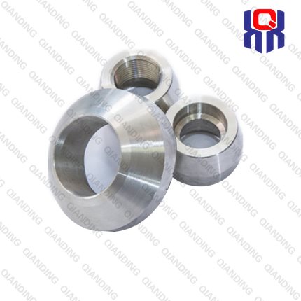 StainlesssteelSockoletA182F304304L316316L316Ti