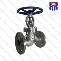 GlobeValve