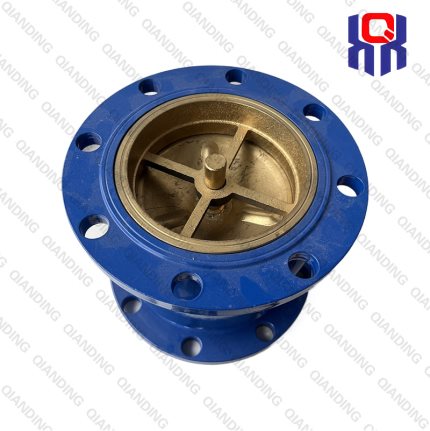 CheckValve