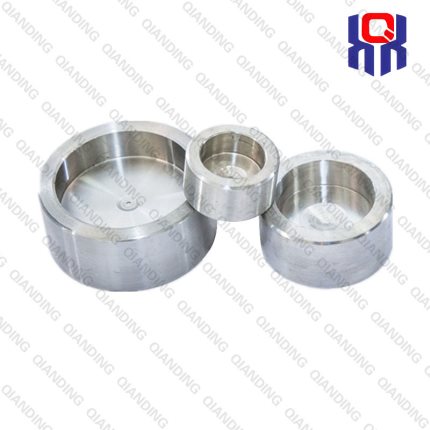 StainlessSteelSocketWeldCapA182F304304L316316L316Ti