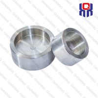 StainlessSteelSocketWeldCapA182F304304L316316L316Ti