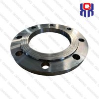ForgeSteelPipePlateFlangeEN1092-1P235GHP250GH