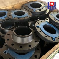 MildSteelWNRFPipeFlange