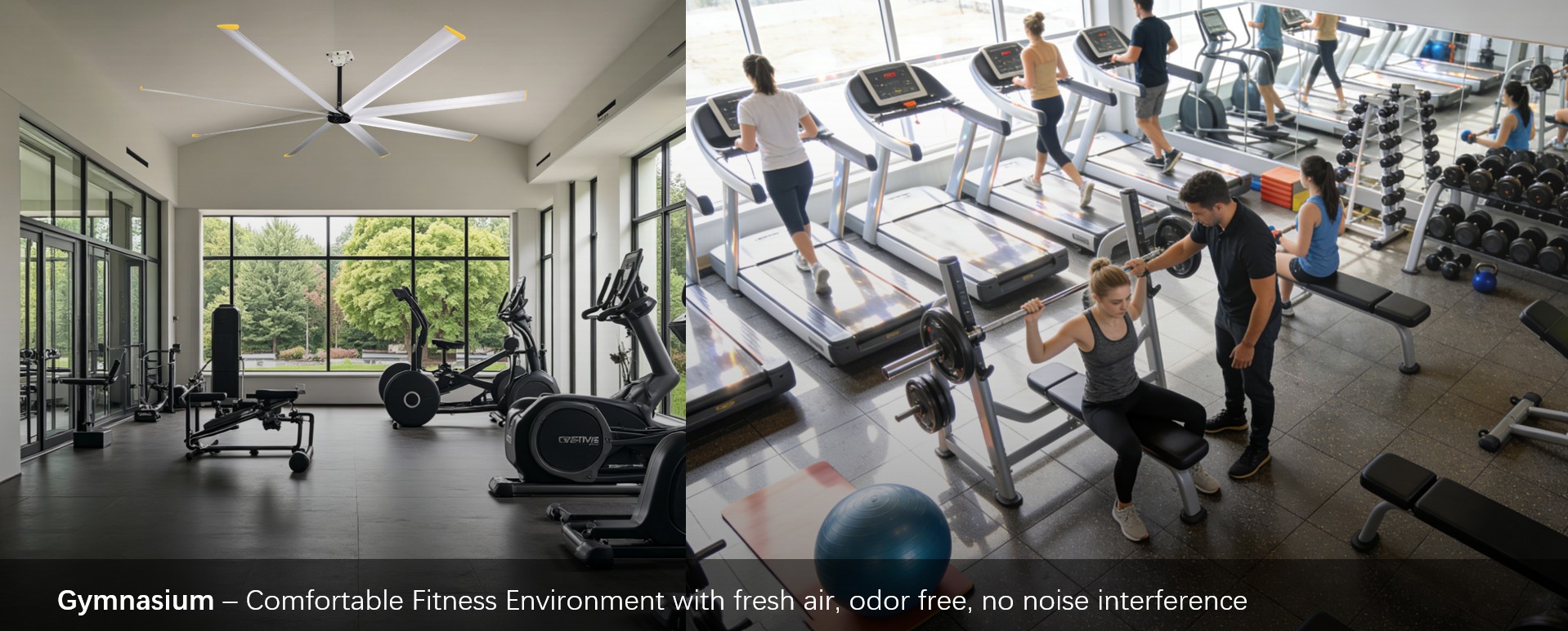 10ft HVLS fan for gym