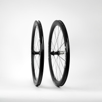 CYX02675