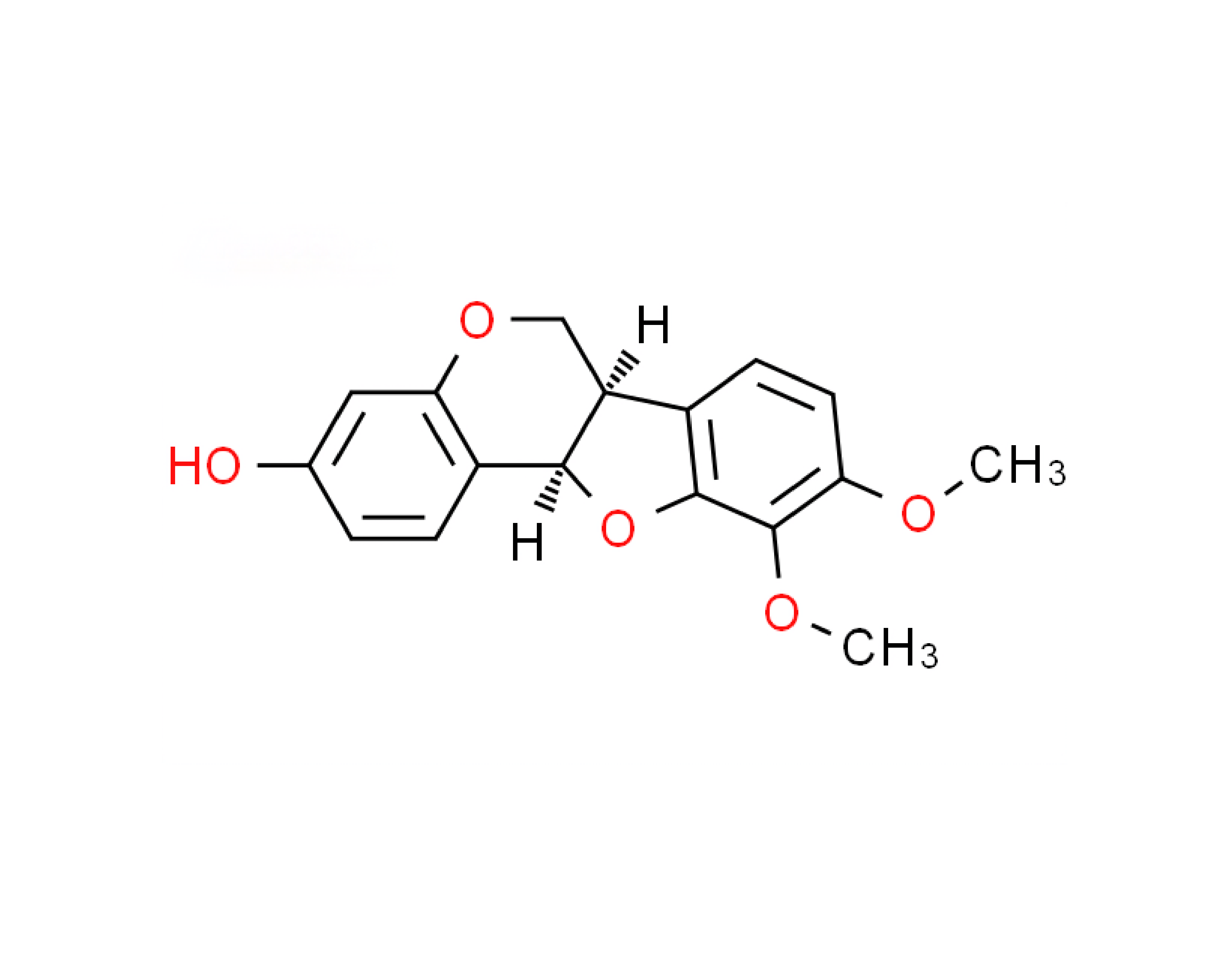 image.psd-1