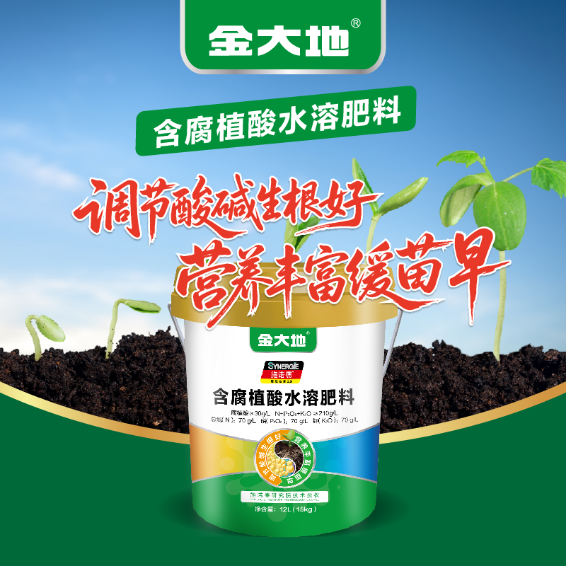 805cbfea241d4c9a498e530b70ba9abc