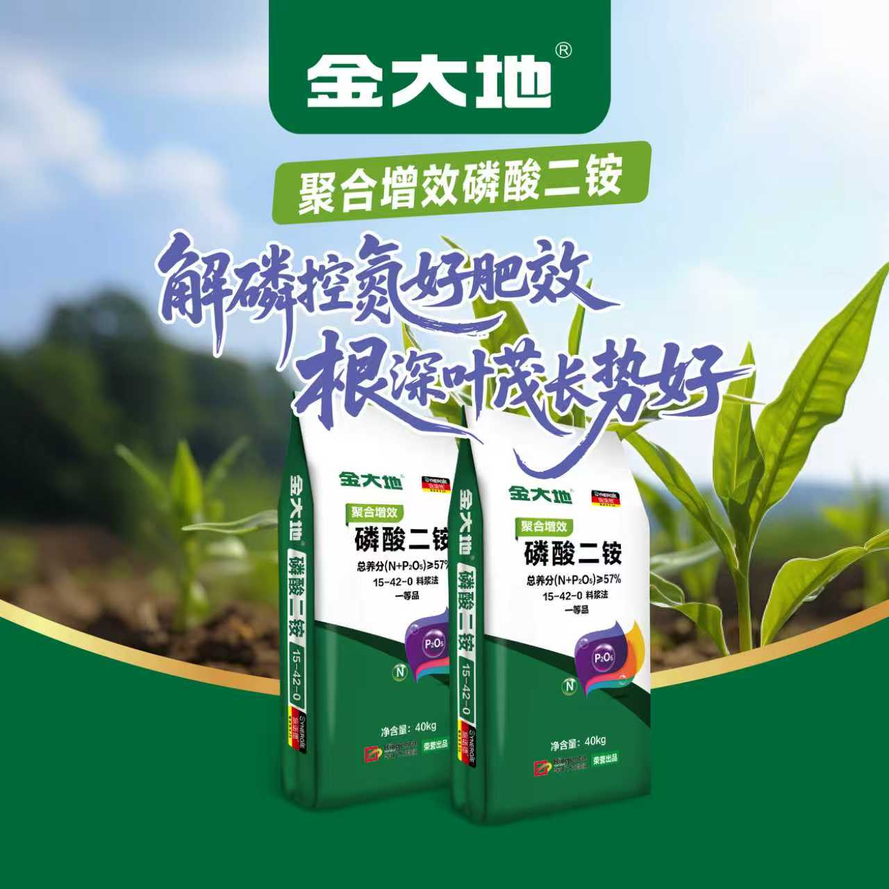 87a31a558439ac0ce0172ef0c6a8c5a2