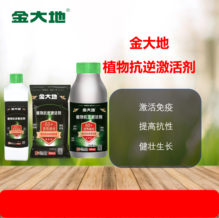 26a8e88c40c95603a1141f8845a6f98