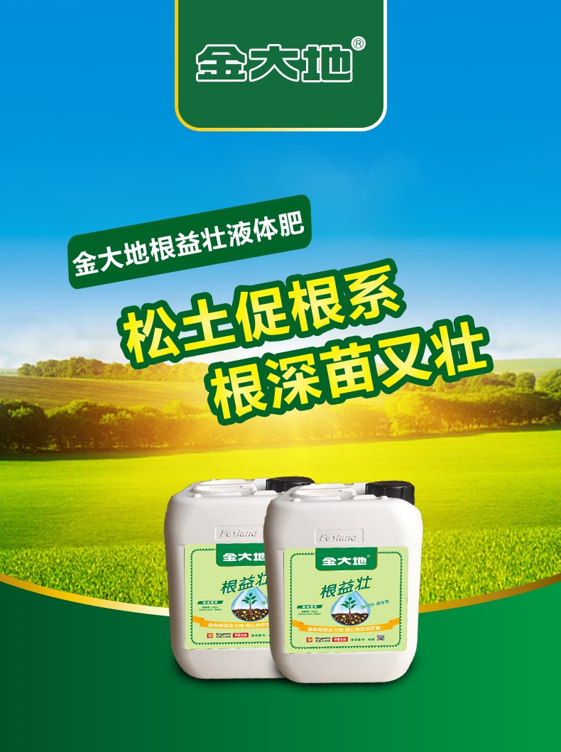 金大地根益壮详情页-2