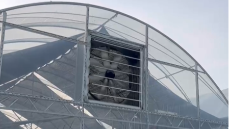 solar fan for greenhouse 01