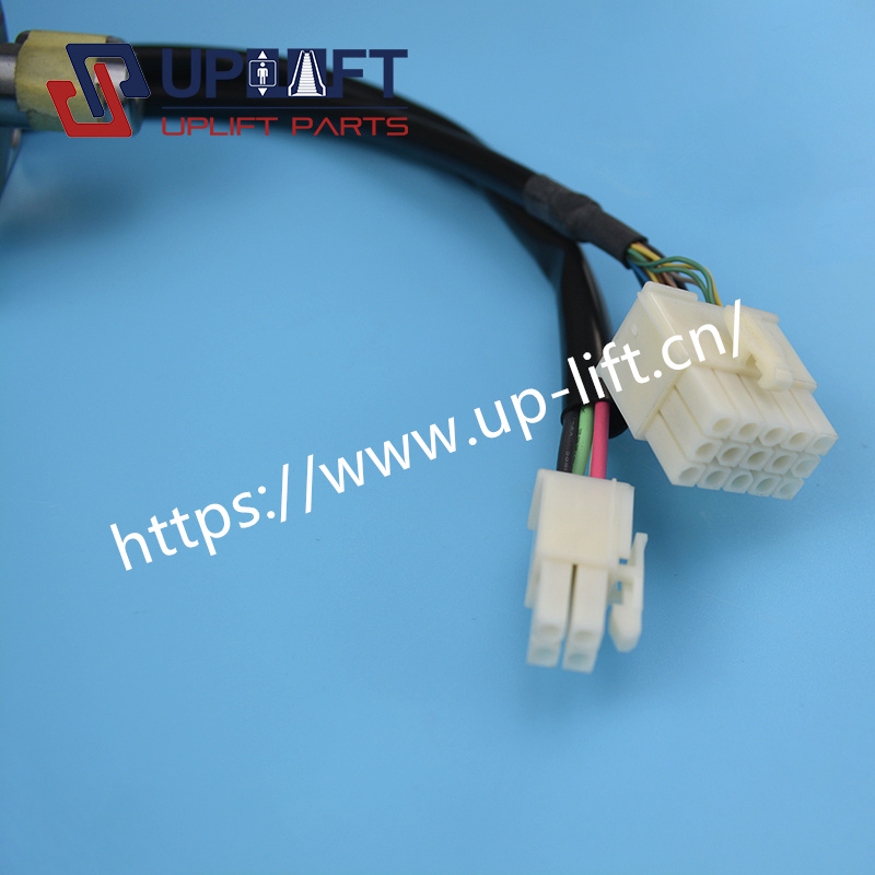 UP001276TS4509N1229E202-1