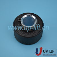 P13CNWITTURCN0454-3