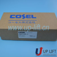 P56CNPMC30A-2-6