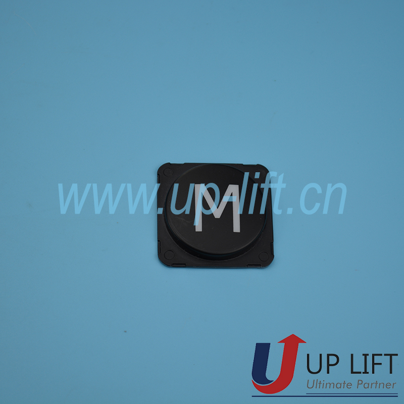 P94MIBUTTON-2