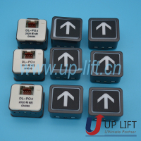 P13HIbuttonDL-PO2-1