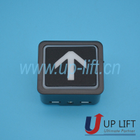 P13HIbuttonDL-PO2-5
