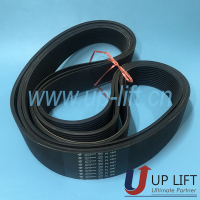 P3SCHbeltPL1841-1