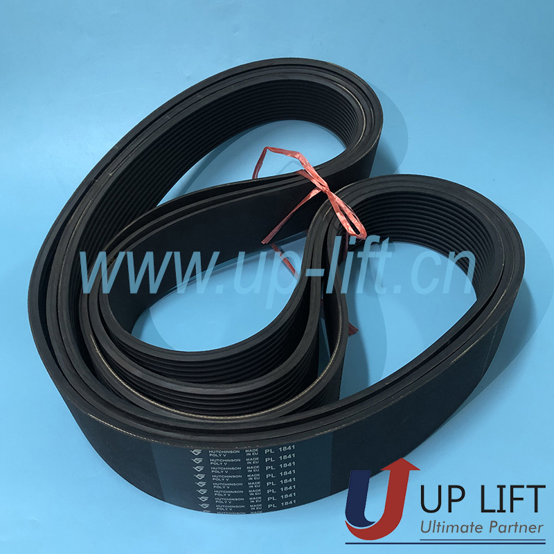 P3SCHbeltPL1841-2