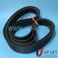 P3SCHbeltPL1841-2